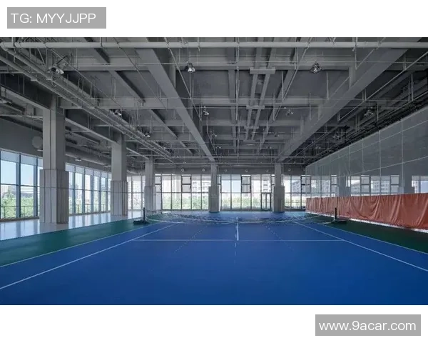 室内体育馆升降篮球架的设计与应用探讨提升运动体验与场馆利用效率